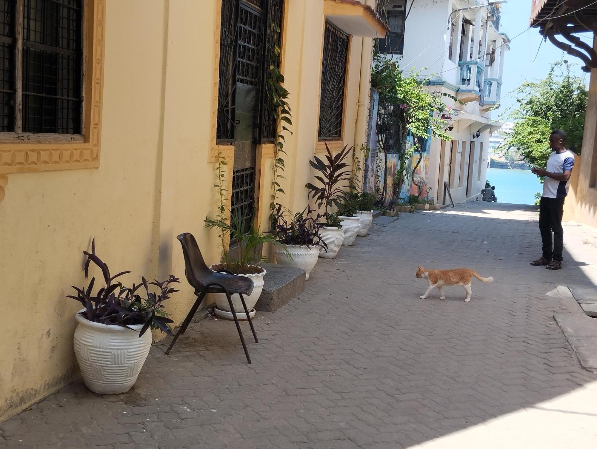 Mombasa Comfort House, Old Town Eksteriør bilde